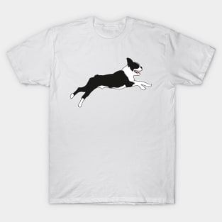 Boston Terrier in Green T-Shirt